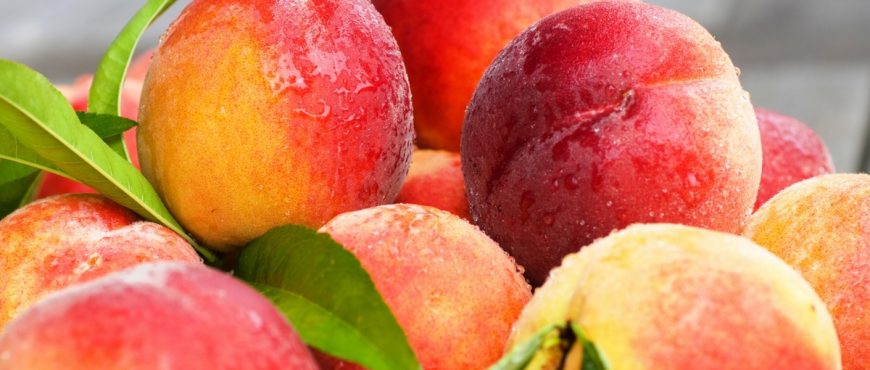 FRUTAS